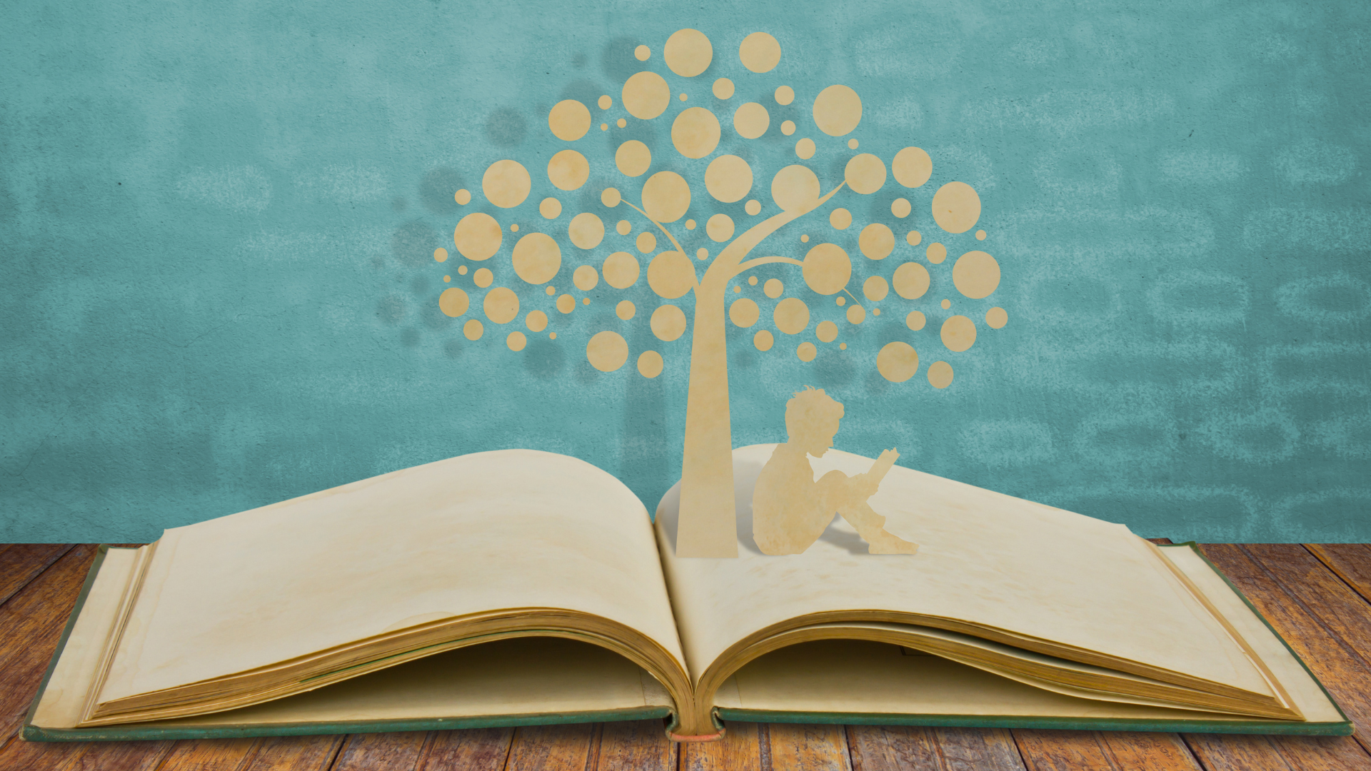 LLIBRE