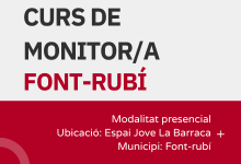 Curs monitor/a