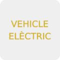 Vehicle elèctric