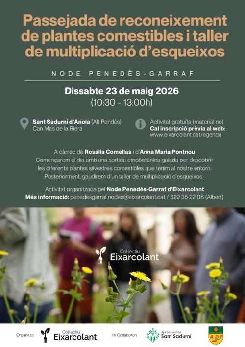 taller esqueixos