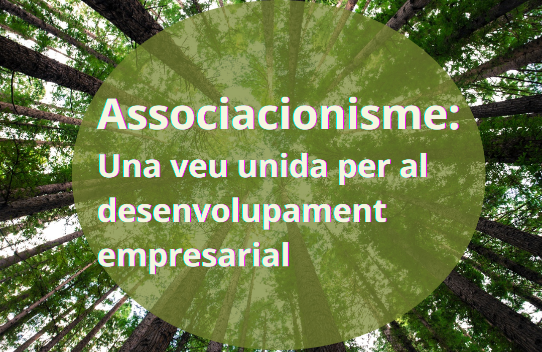 capalera associacio