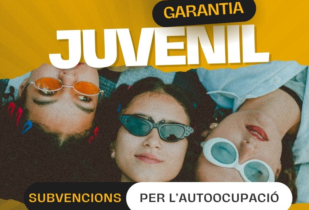 garantia juvenil subvencio