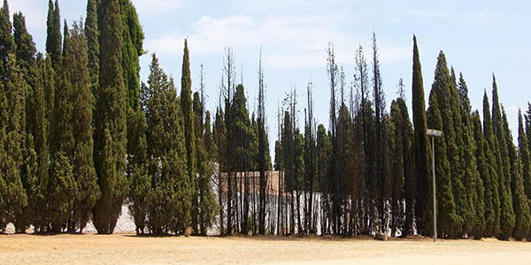 incendi