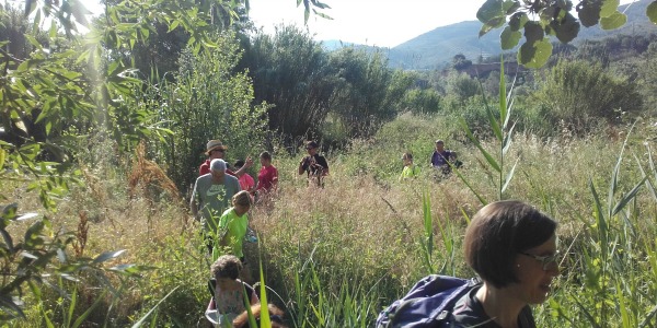Festa Medi Ambient 1