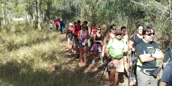 jornada mobilitat 1