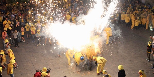 Fil.loxera infantil 2017 Fil.loxera infantil 2017