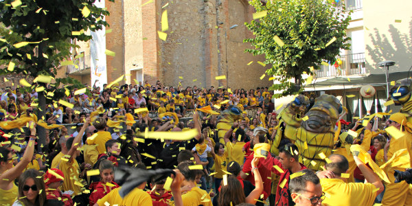 Filoxera avis 2017