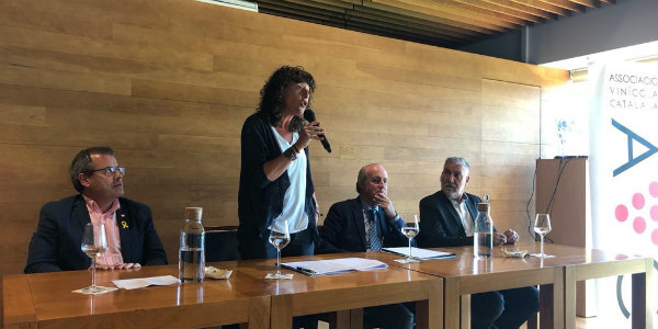 assemblea vincola