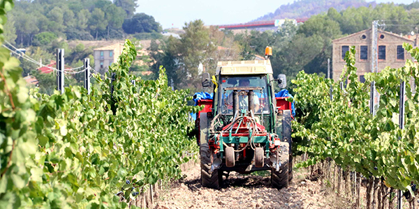 preu raïm preu raïm