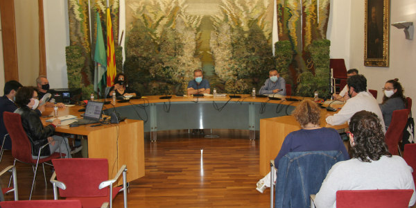 Ple setembre
