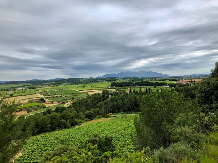 Espiells terra de Vi