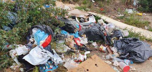 abocament can ferrer II