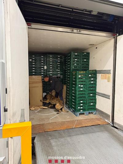 Mossos d'Esquadra