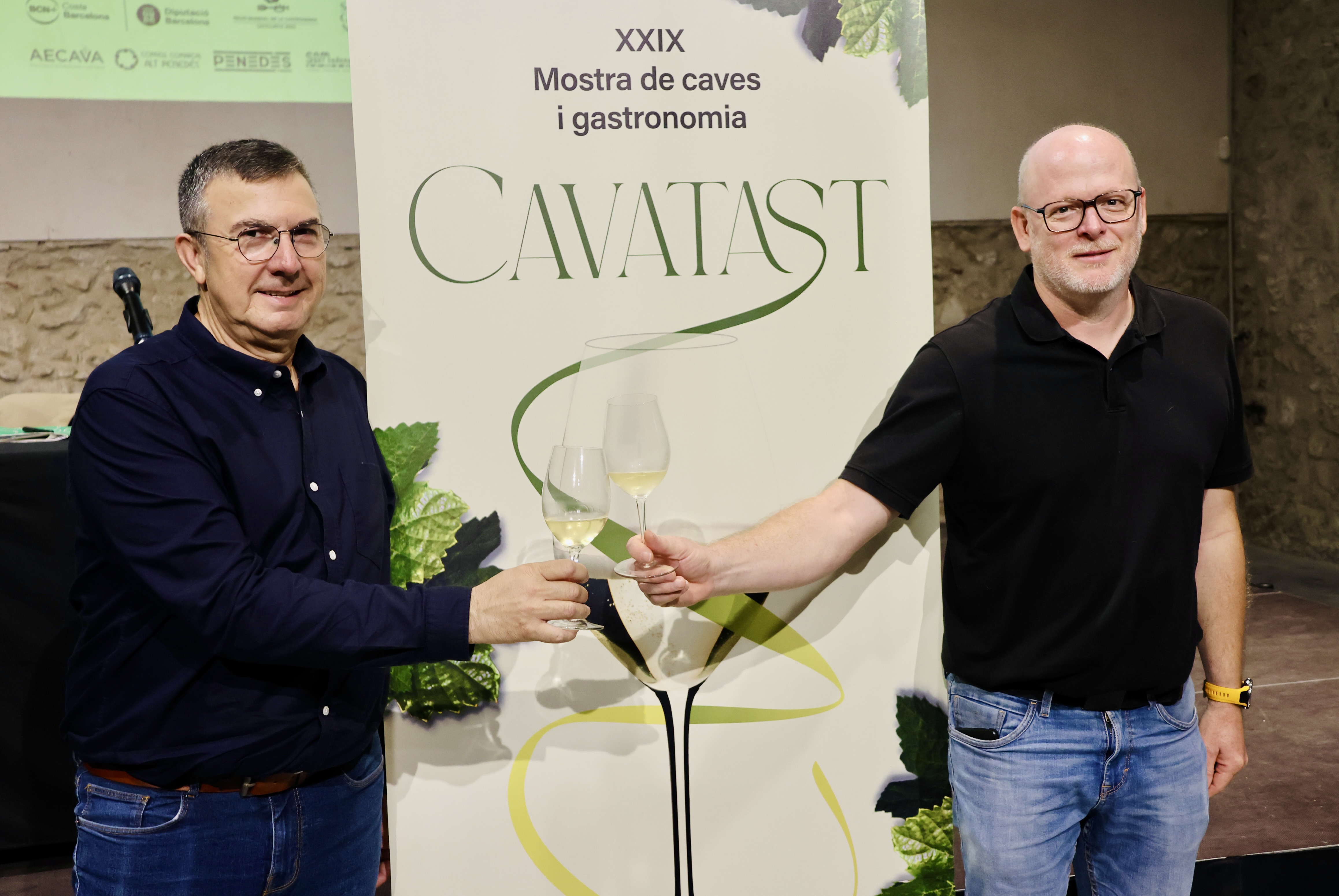 rdp cavatast 1