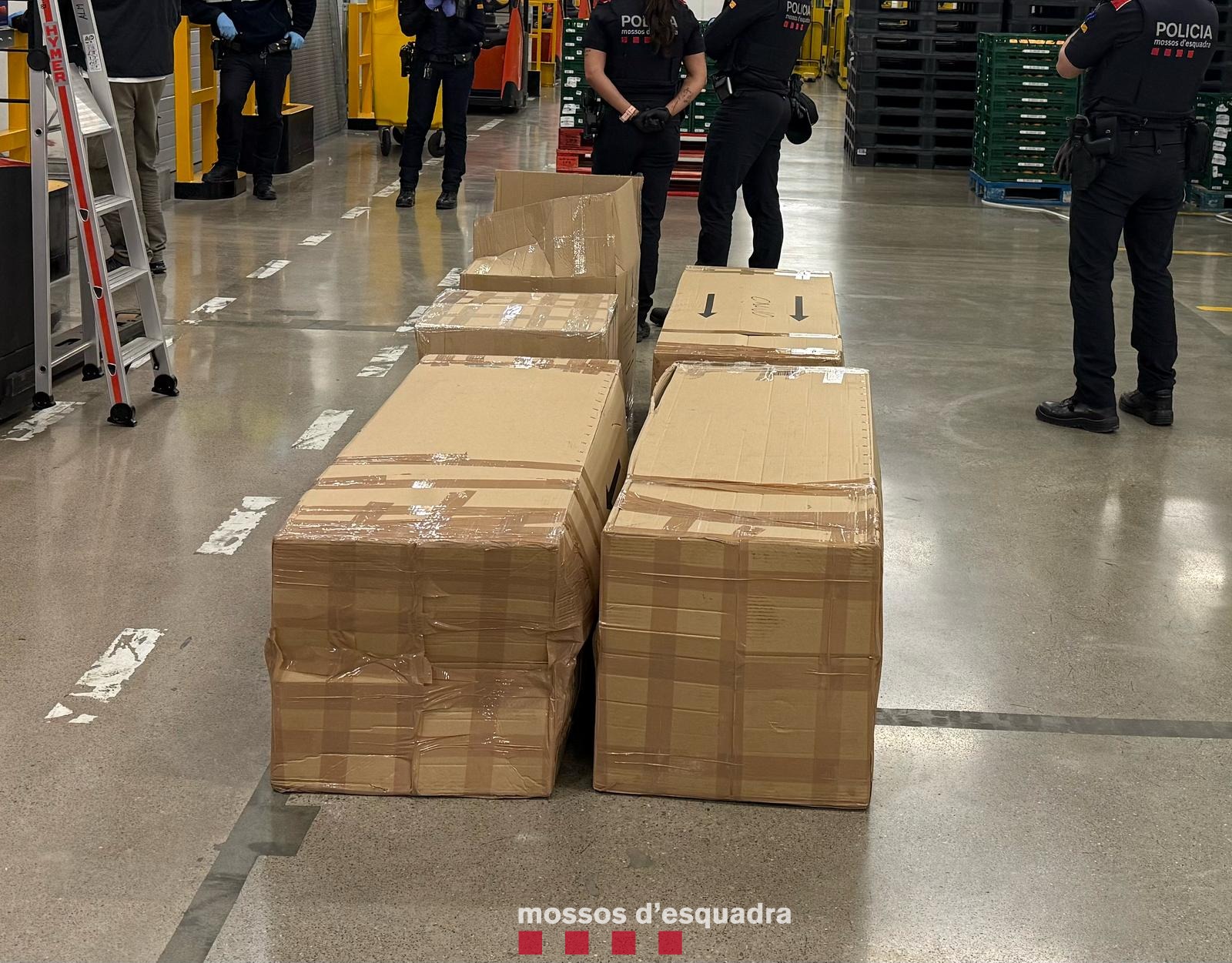 Mossos d'Esquadra