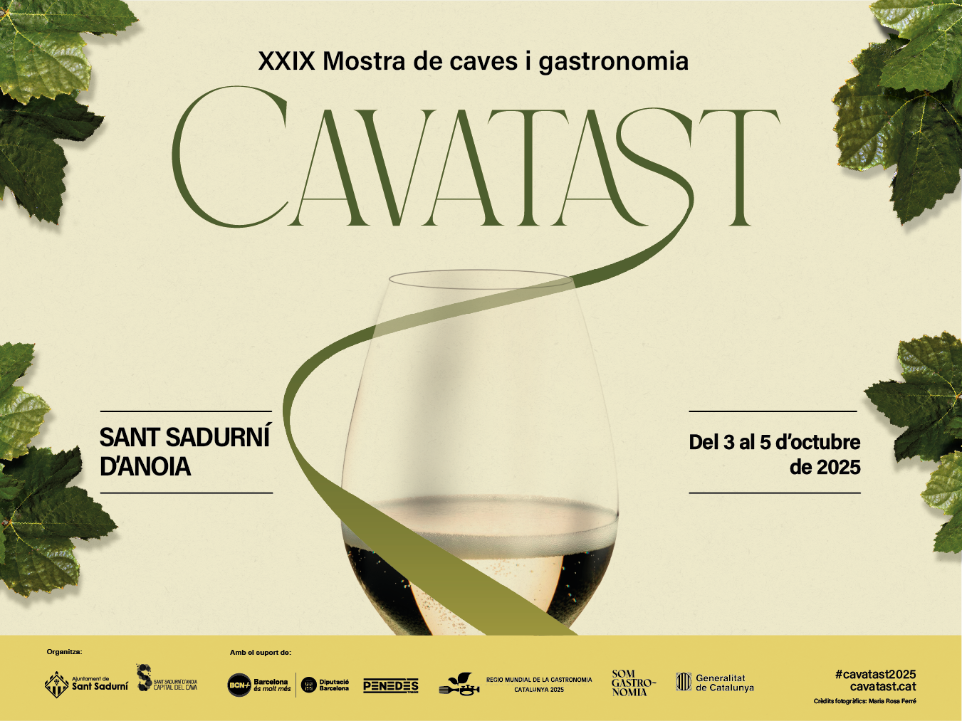 cavatat2025
