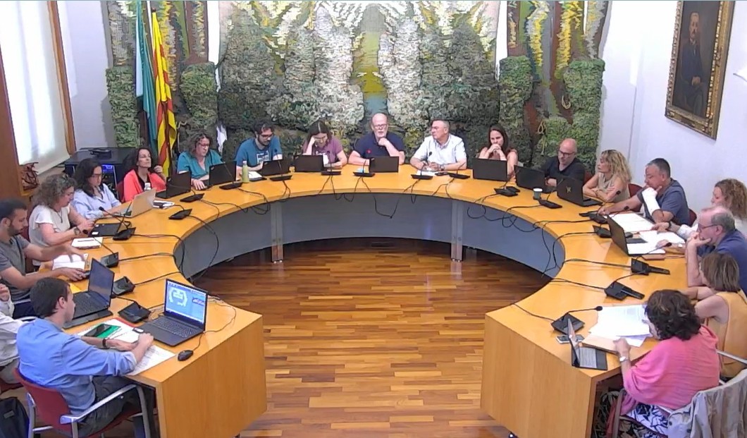 Ple de maig