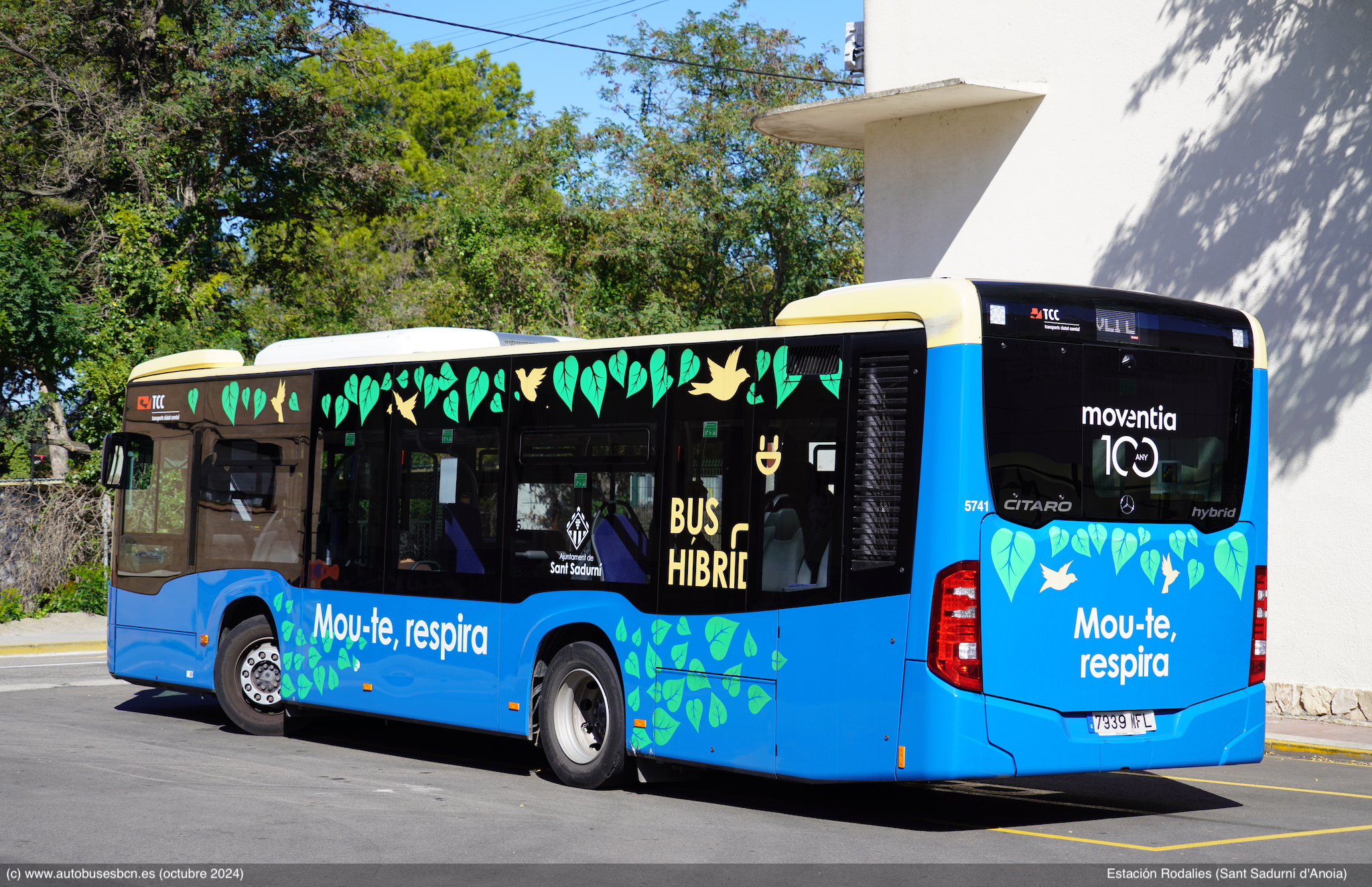 bus
