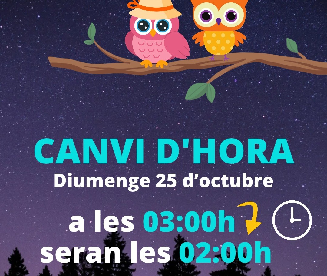 canvi d'hora x web