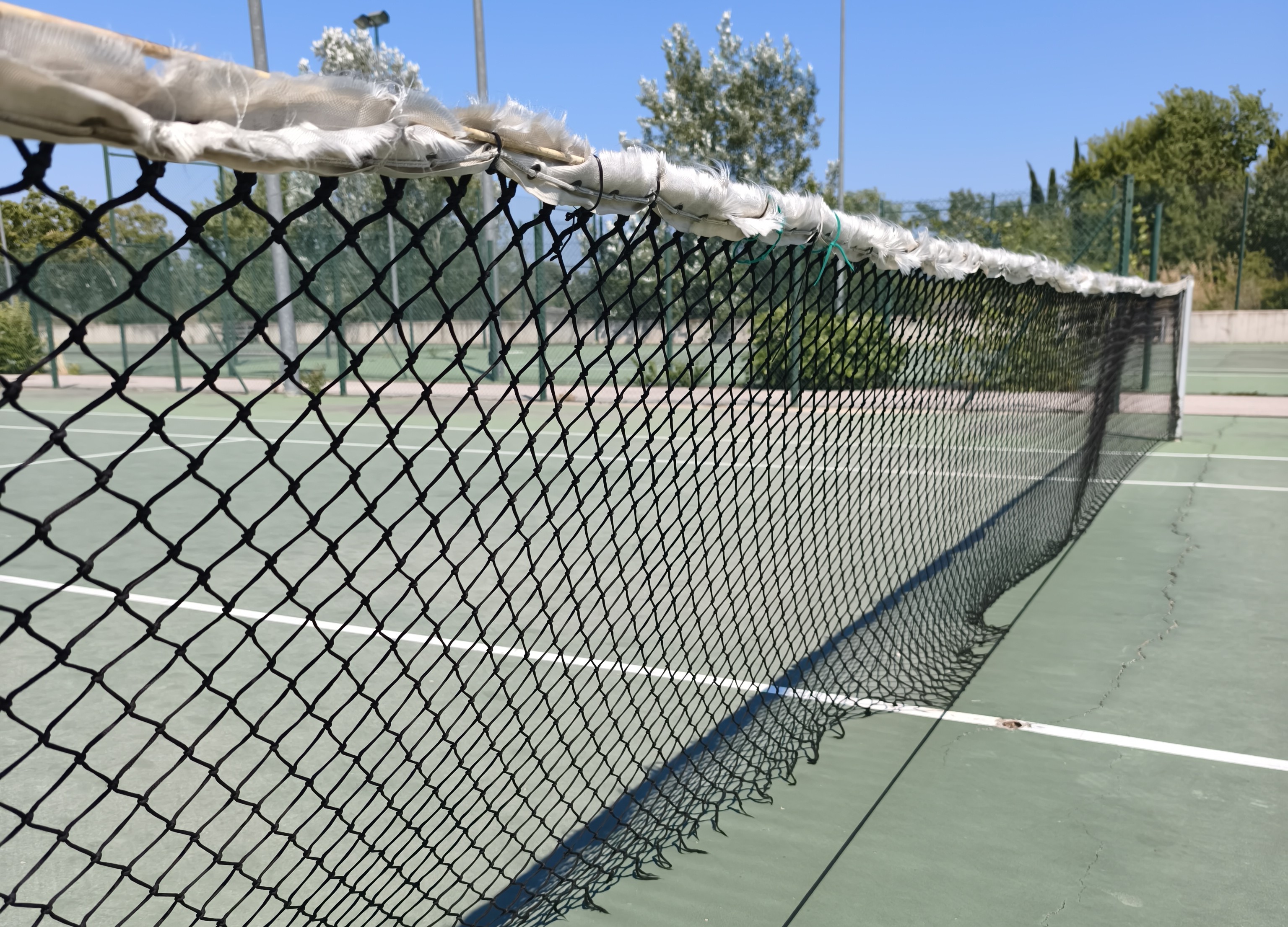 tennisweb tennisweb