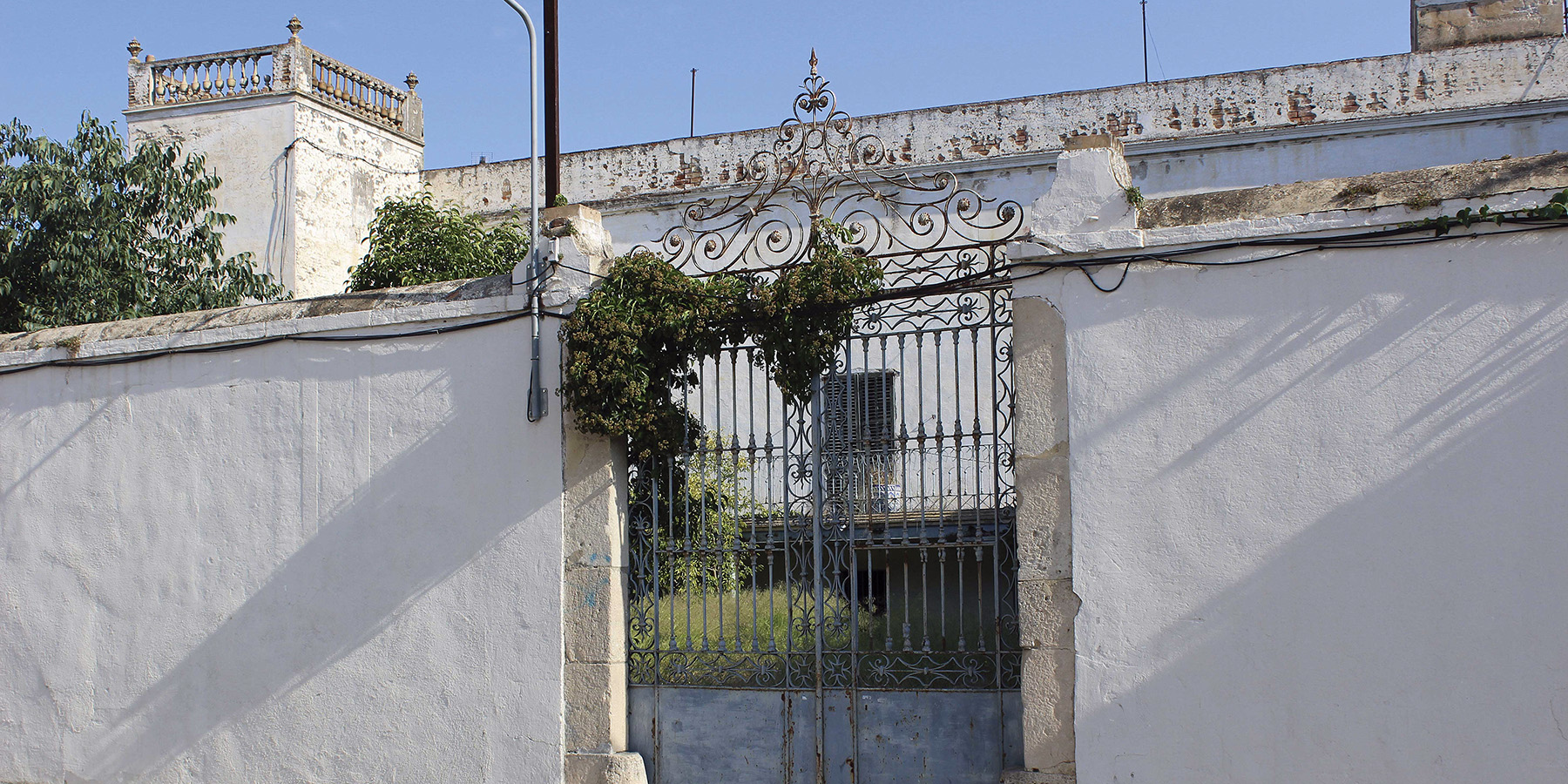 Can Guineu Can Guineu