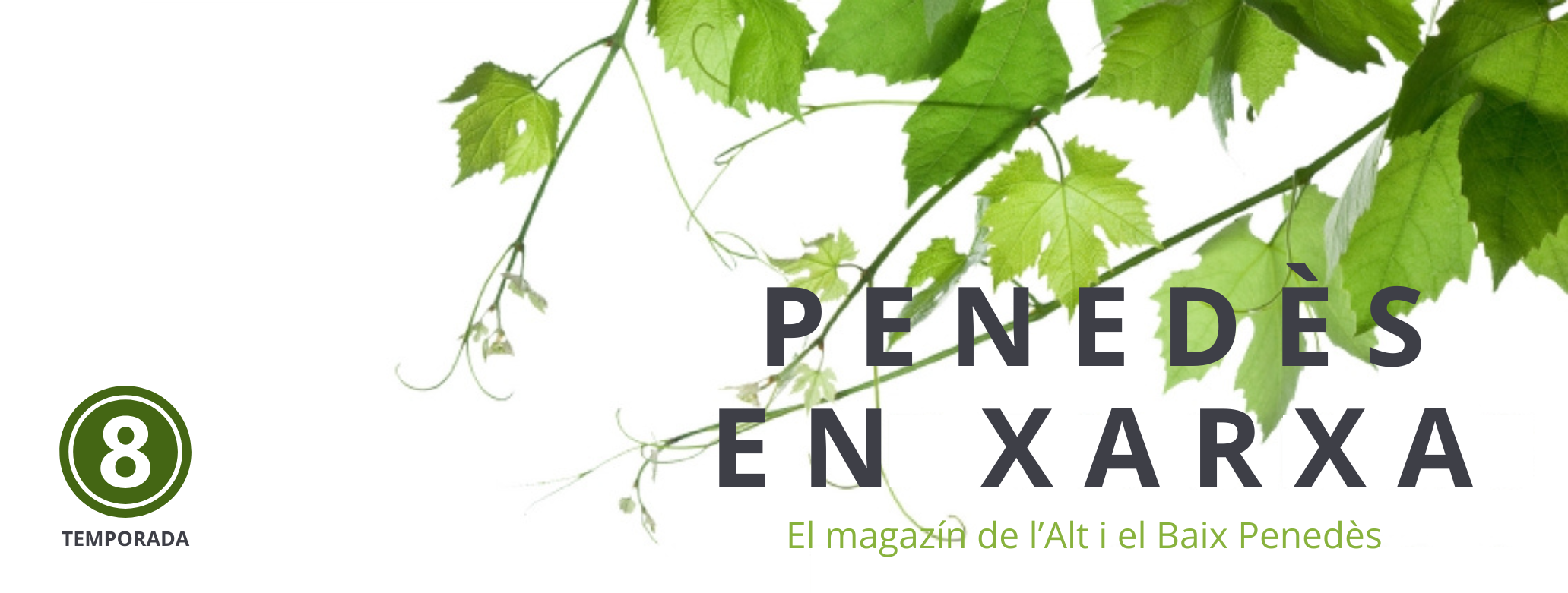 PEX 25