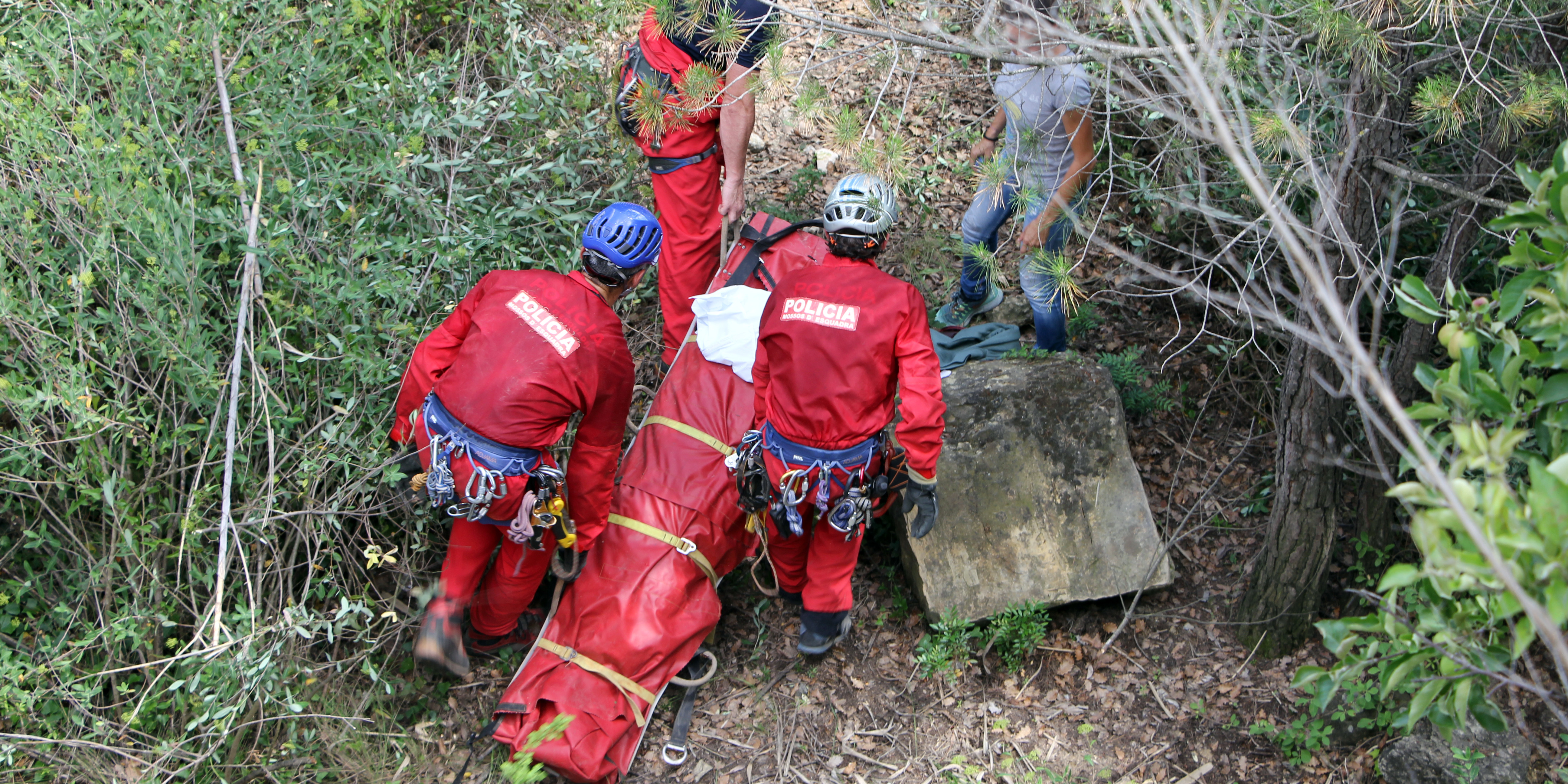 Cos sense vida sota el pont de l'estaci