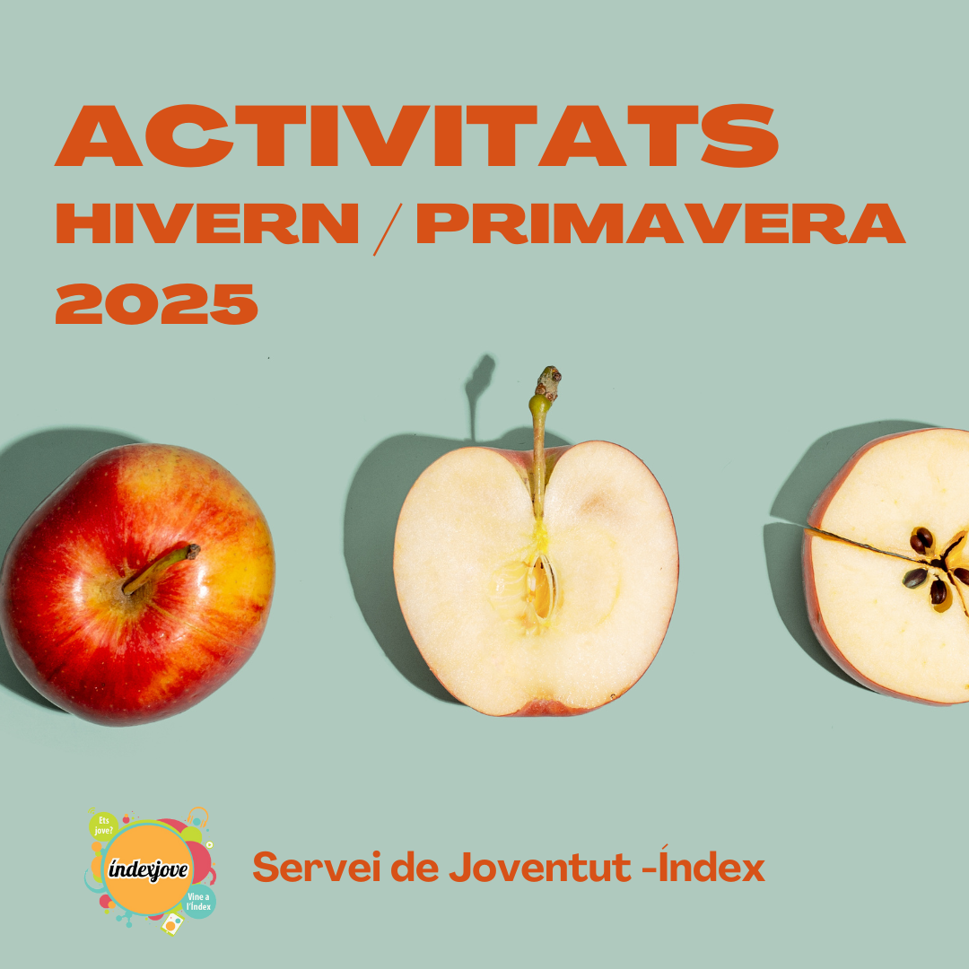 Activitats ndex 2025