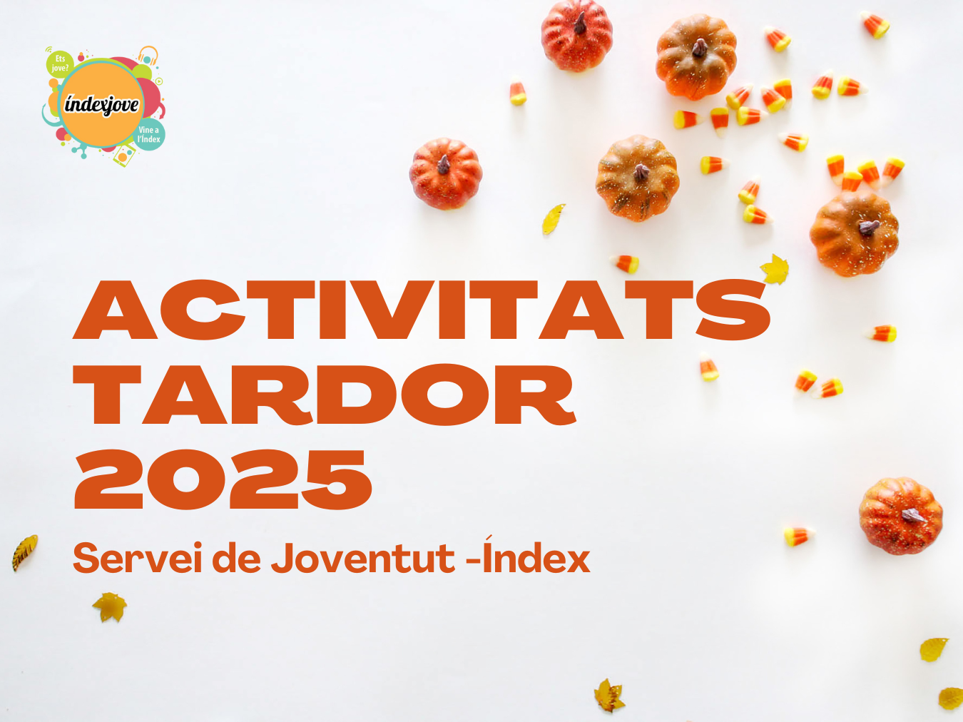 activitats de tardor