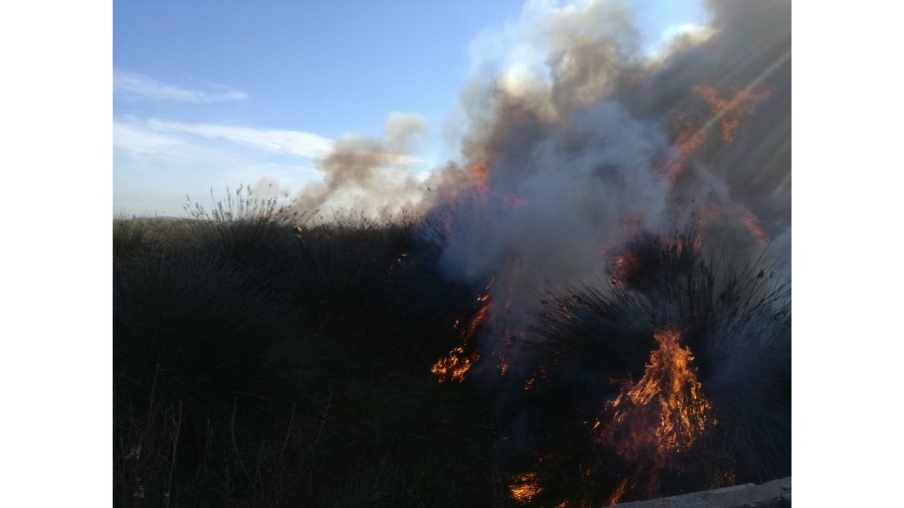 perm�s crema imatge