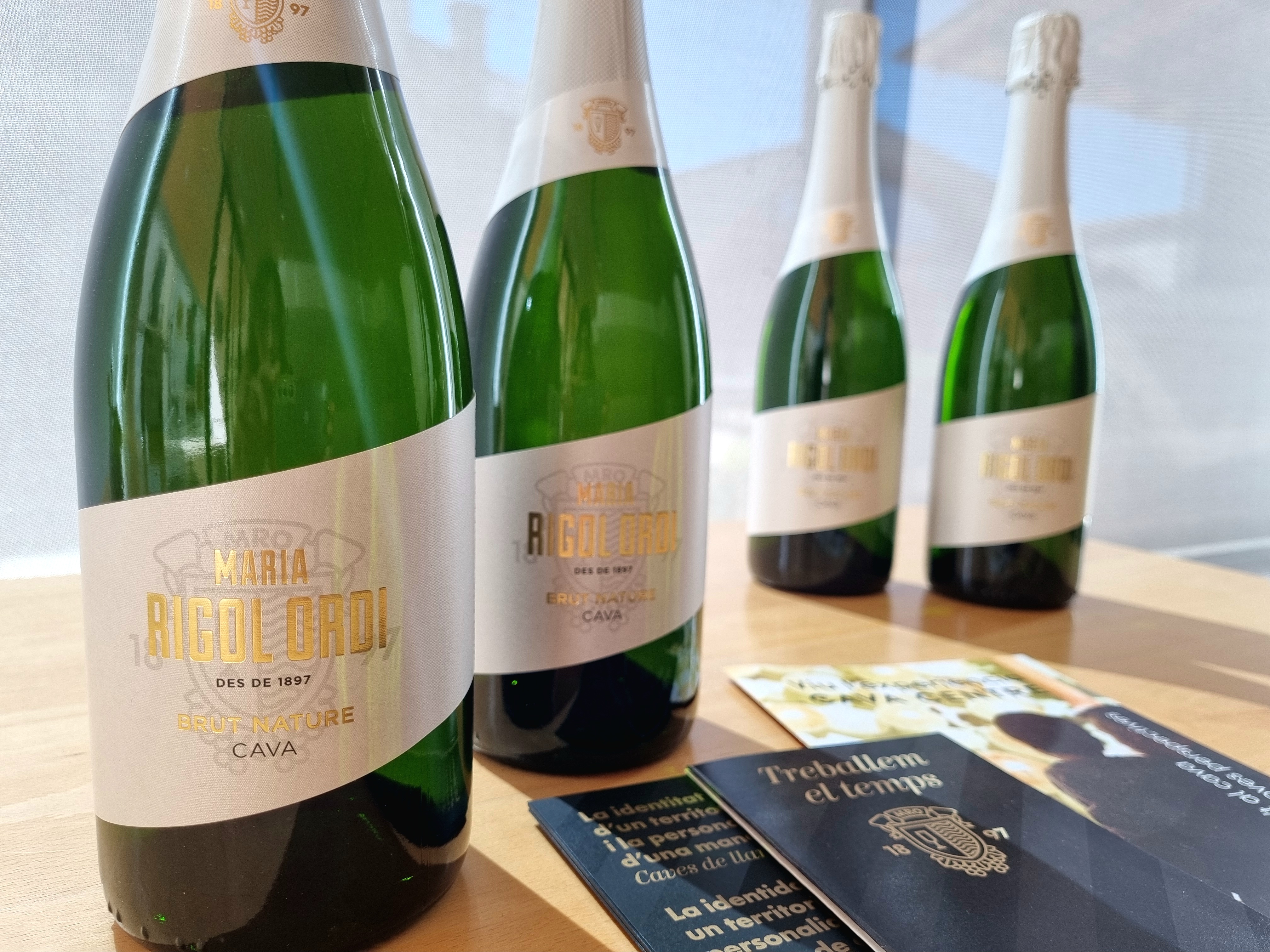 Maria Rigol Ordi Maria Rigol Ordi