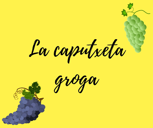 Caputxeta_groga-NOTI