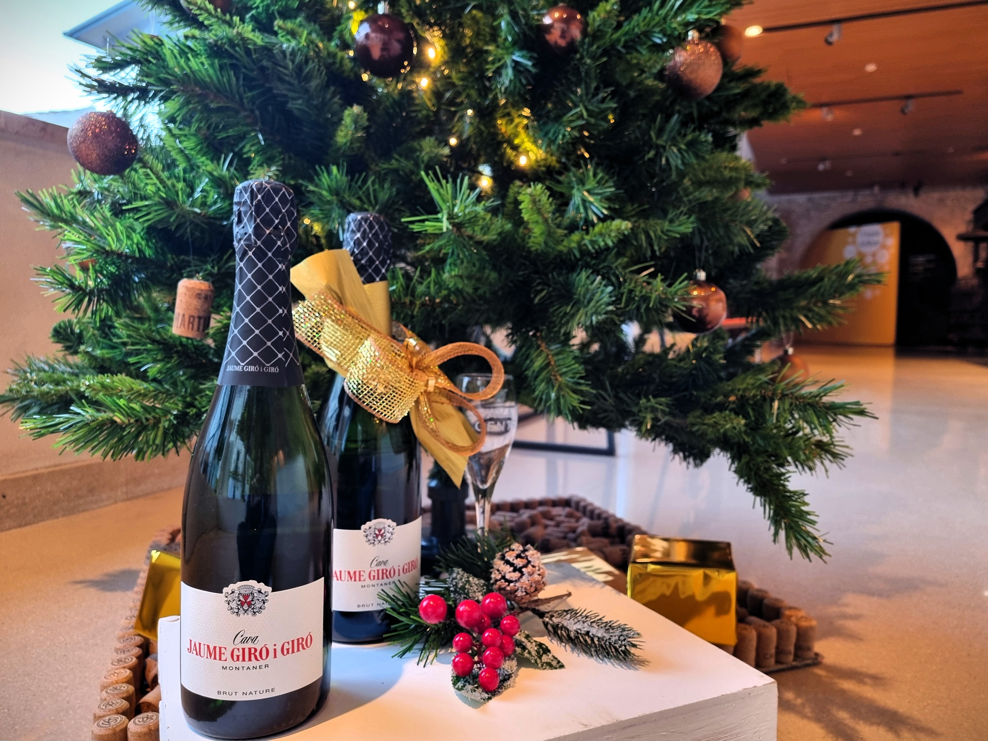 Cava del mes Jaume Gir i Gir