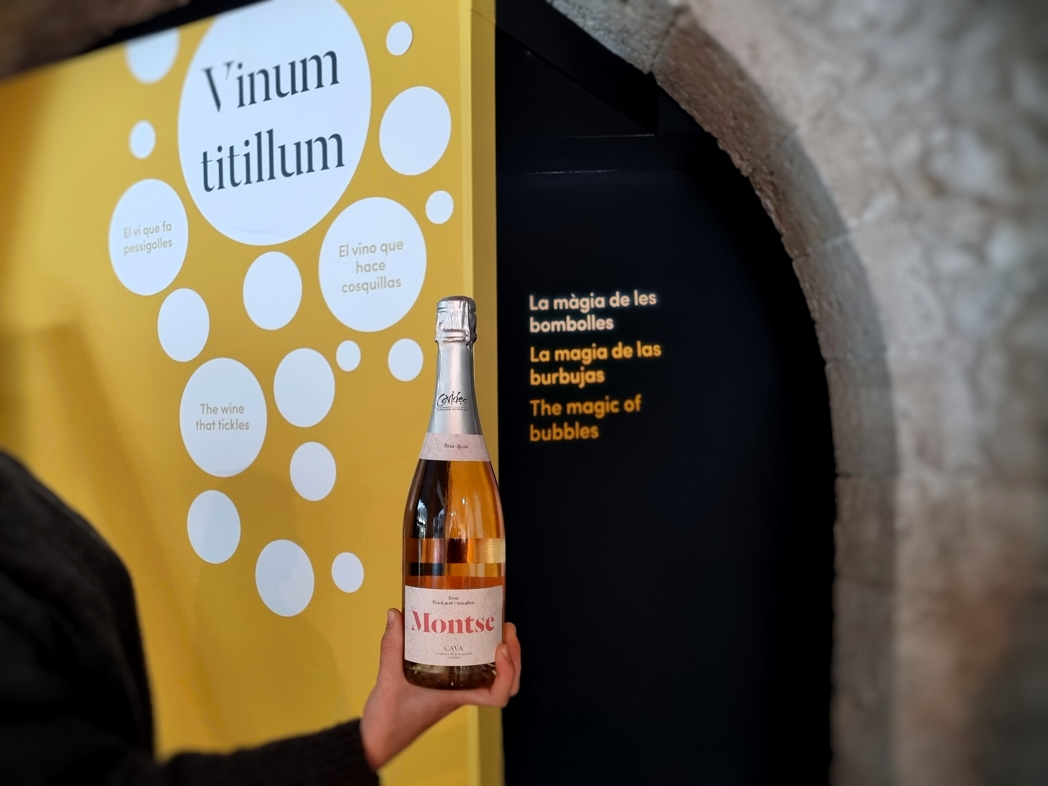 Cava del mes Covides